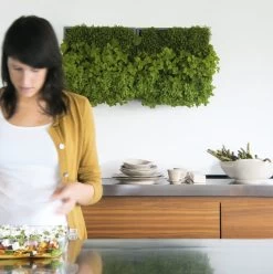 Plantelement Voor Wandmontage -Bekend Tuinmeubel Winkel plantelement wandmontage 6