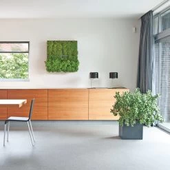 Plantelement Voor Wandmontage -Bekend Tuinmeubel Winkel plantelement wandmontage 7