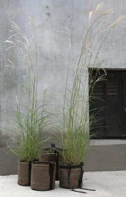 Plantenbak Bacsac - Container Cilindrisch, 10 Liter, Groen/Braun -Bekend Tuinmeubel Winkel plantenbak bacsac container cilindrisch 2