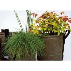 Plantenbak Bacsac - Met Railingbevestiging 8 Plantenbak Bacsac - Met Railingbevestiging -Bekend Tuinmeubel Winkel plantenbak bacsac railingbevestiging 3