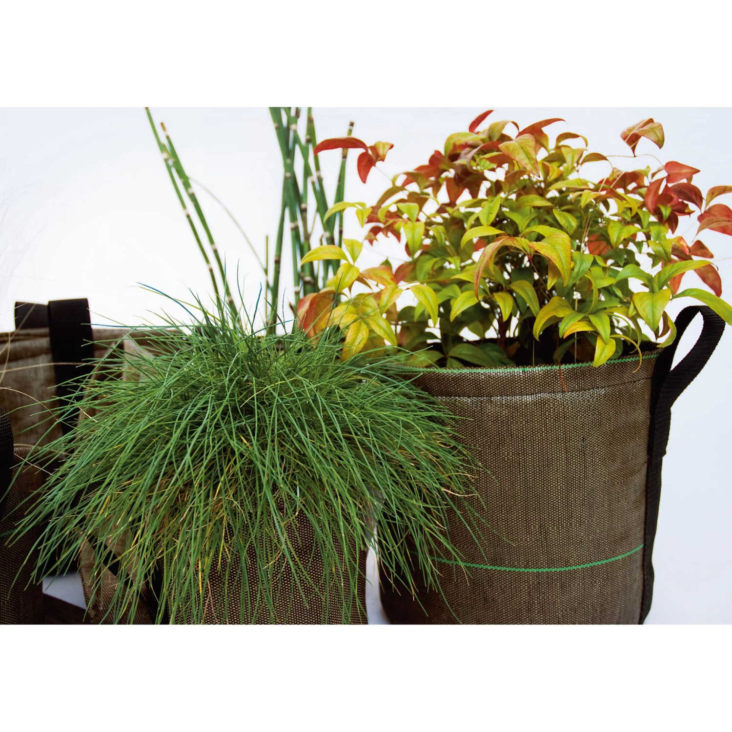 Plantenbak Bacsac - Met Railingbevestiging 4 Plantenbak Bacsac - Met Railingbevestiging - Afbeelding 4