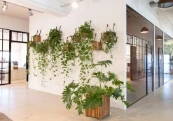 Plantenbak Met Waterreservoir Groot 10 Plantenbak Met Waterreservoir Groot -Bekend Tuinmeubel Winkel plantenbak waterreservoir groot 4