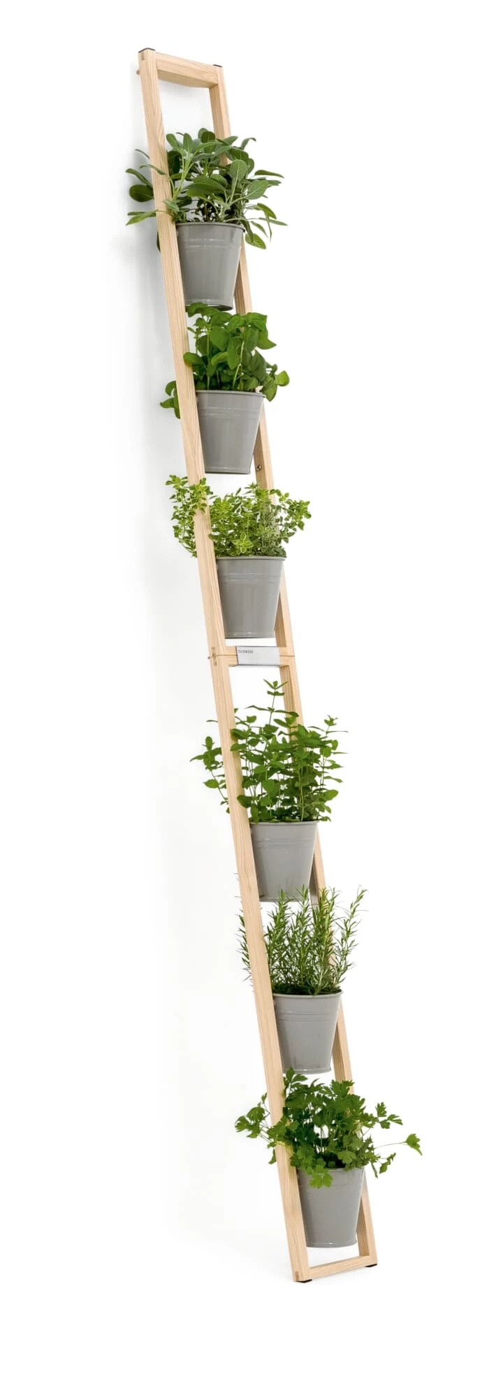 Plantenladder Voor Binnen En Buiten, Grijs 2 Plantenladder Voor Binnen En Buiten, Grijs - Afbeelding 2