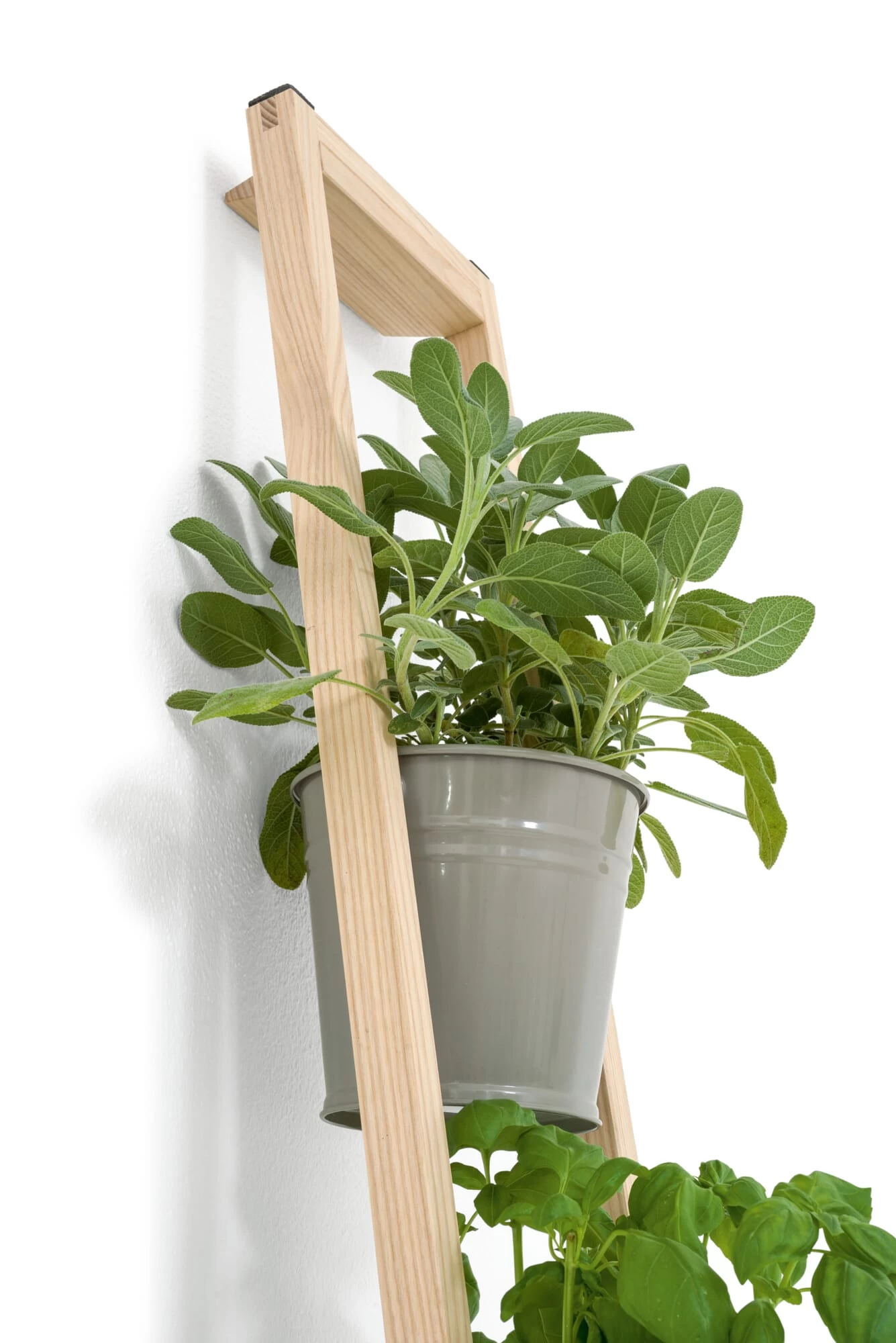 Plantenladder Voor Binnen En Buiten, Grijs 4 Plantenladder Voor Binnen En Buiten, Grijs - Afbeelding 4