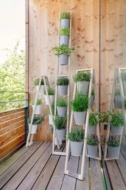 Plantenladder Voor Binnen En Buiten, Grijs 12 Plantenladder Voor Binnen En Buiten, Grijs -Bekend Tuinmeubel Winkel plantenladder binnen buiten 5