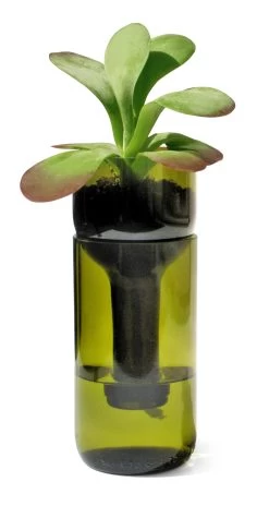 Planter Zelf Water Gevende Fles, Groen