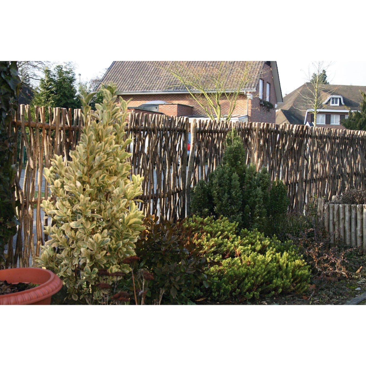 Privacyscherm Hazelnoothout 7 Privacyscherm Hazelnoothout - Afbeelding 7