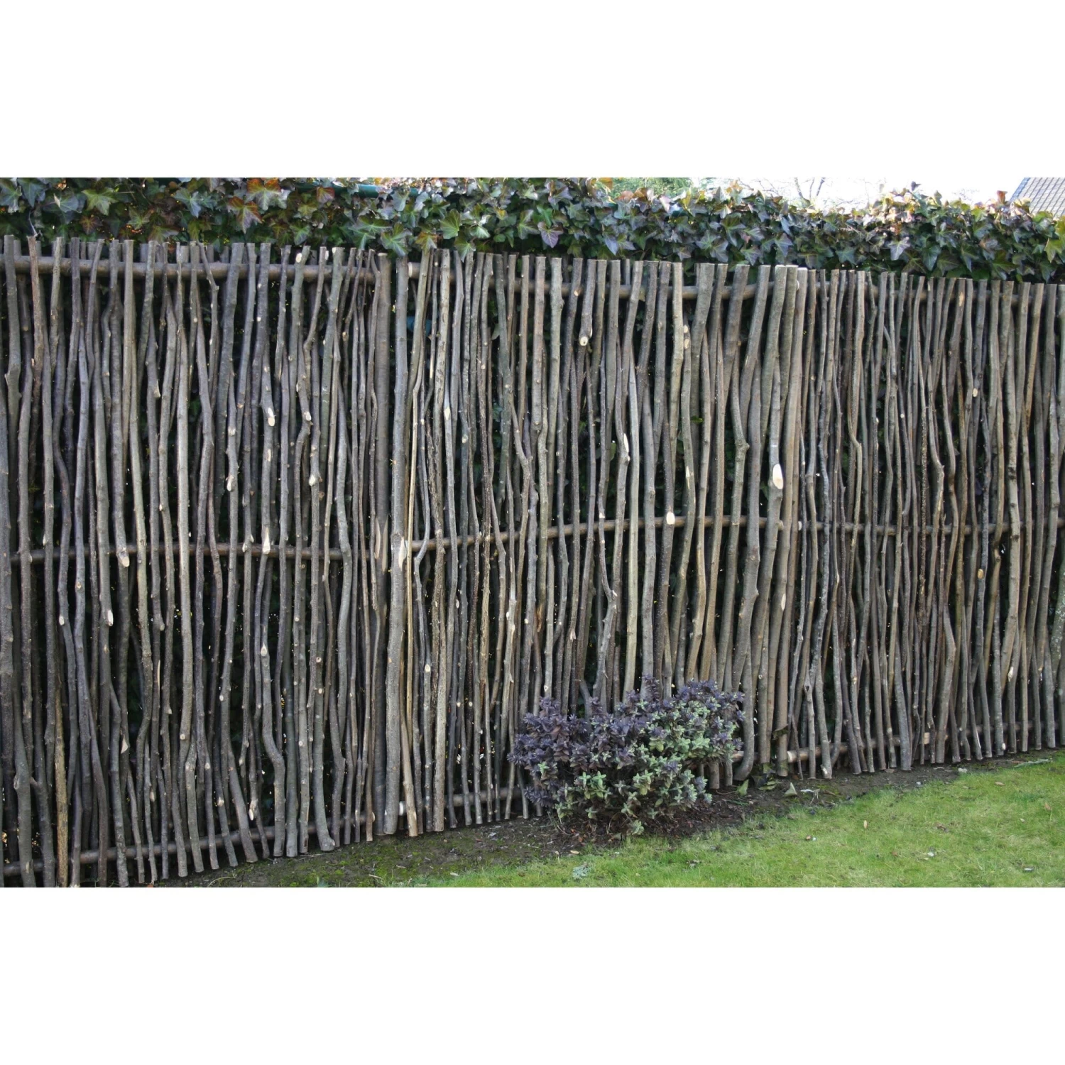 Privacyscherm Hazelnoothout 8 Privacyscherm Hazelnoothout - Afbeelding 8