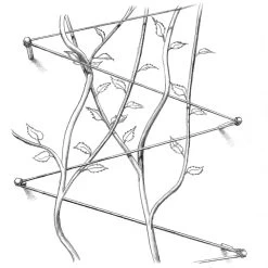 Roestvrij Stalen Traliesysteem -Bekend Tuinmeubel Winkel roestvrij stalen traliesysteem 2