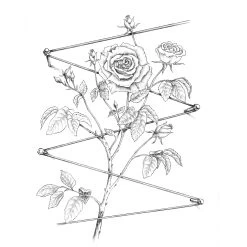 Roestvrij Stalen Traliesysteem -Bekend Tuinmeubel Winkel roestvrij stalen traliesysteem 3