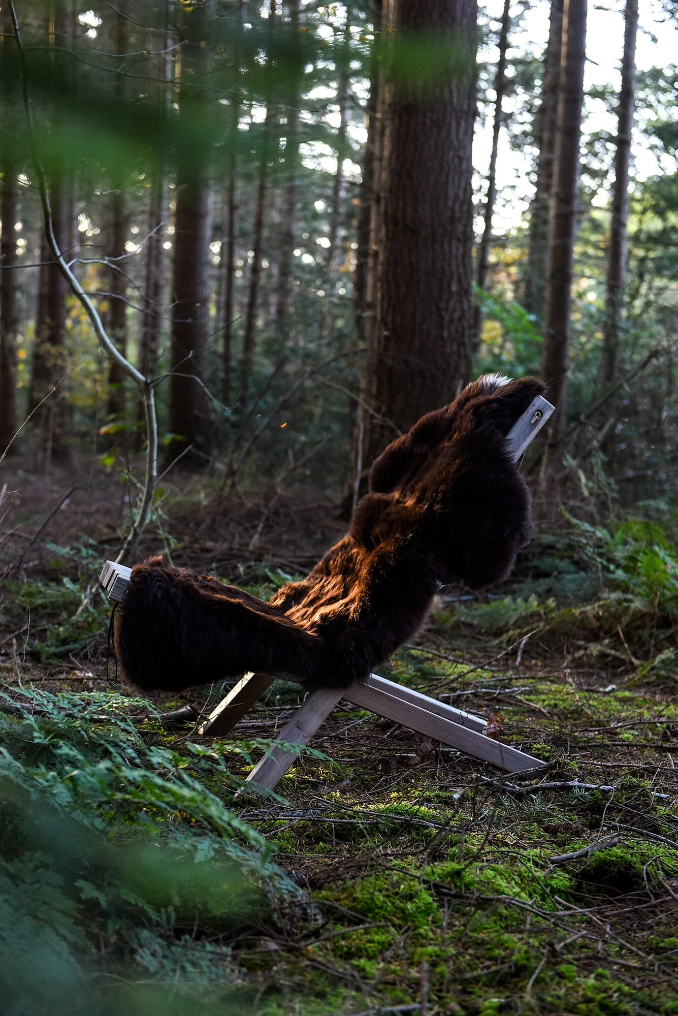 Schapenvacht Skiep, Bruin 7 Schapenvacht Skiep, Bruin - Afbeelding 7