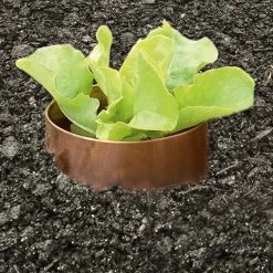 Slakkenring Koper -Bekend Tuinmeubel Winkel slakkenring koper 3