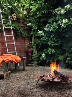 Snijbiet 6 Snijbiet -Bekend Tuinmeubel Winkel snijbiet 2