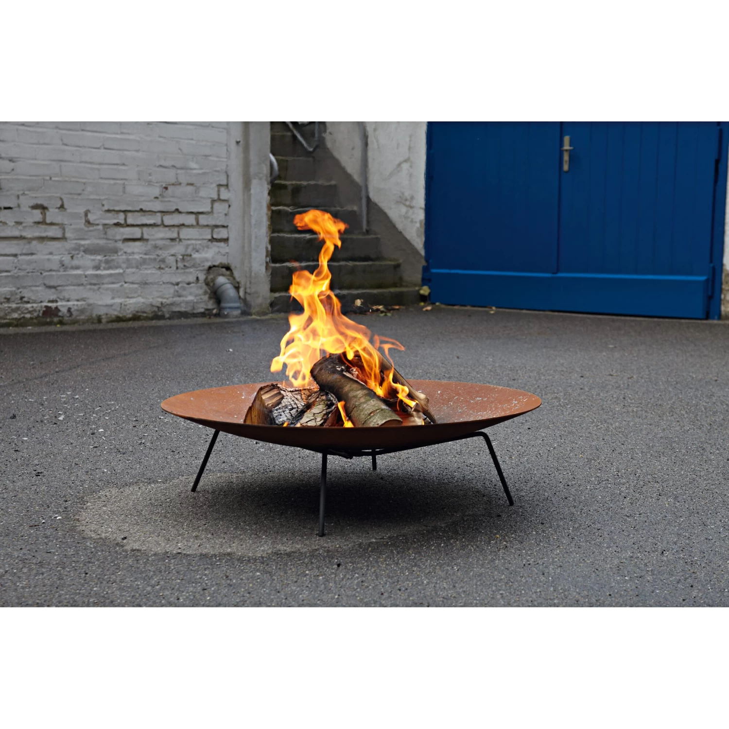 Snijbiet 4 Snijbiet - Afbeelding 4