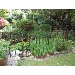 Stalen Staafhek 1 M, Onbehandeld -Bekend Tuinmeubel Winkel stalen staafhek 1 m 5