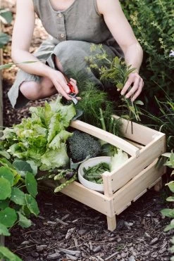 Stapeltrap Vurenhout -Bekend Tuinmeubel Winkel stapeltrap vurenhout 6