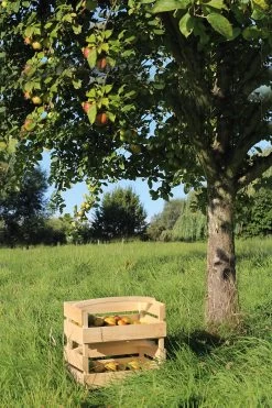 Stapeltrap Vurenhout -Bekend Tuinmeubel Winkel stapeltrap vurenhout 7