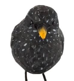 Ster Lindehout Met De Hand Gesneden -Bekend Tuinmeubel Winkel ster lindehout hand gesneden 2