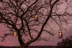 Tafellamp Sonnenglas® -Bekend Tuinmeubel Winkel tafellamp sonnenglas 16