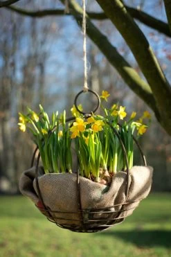 Tuinbal Om Op Te Hangen -Bekend Tuinmeubel Winkel tuinbal hangen 2