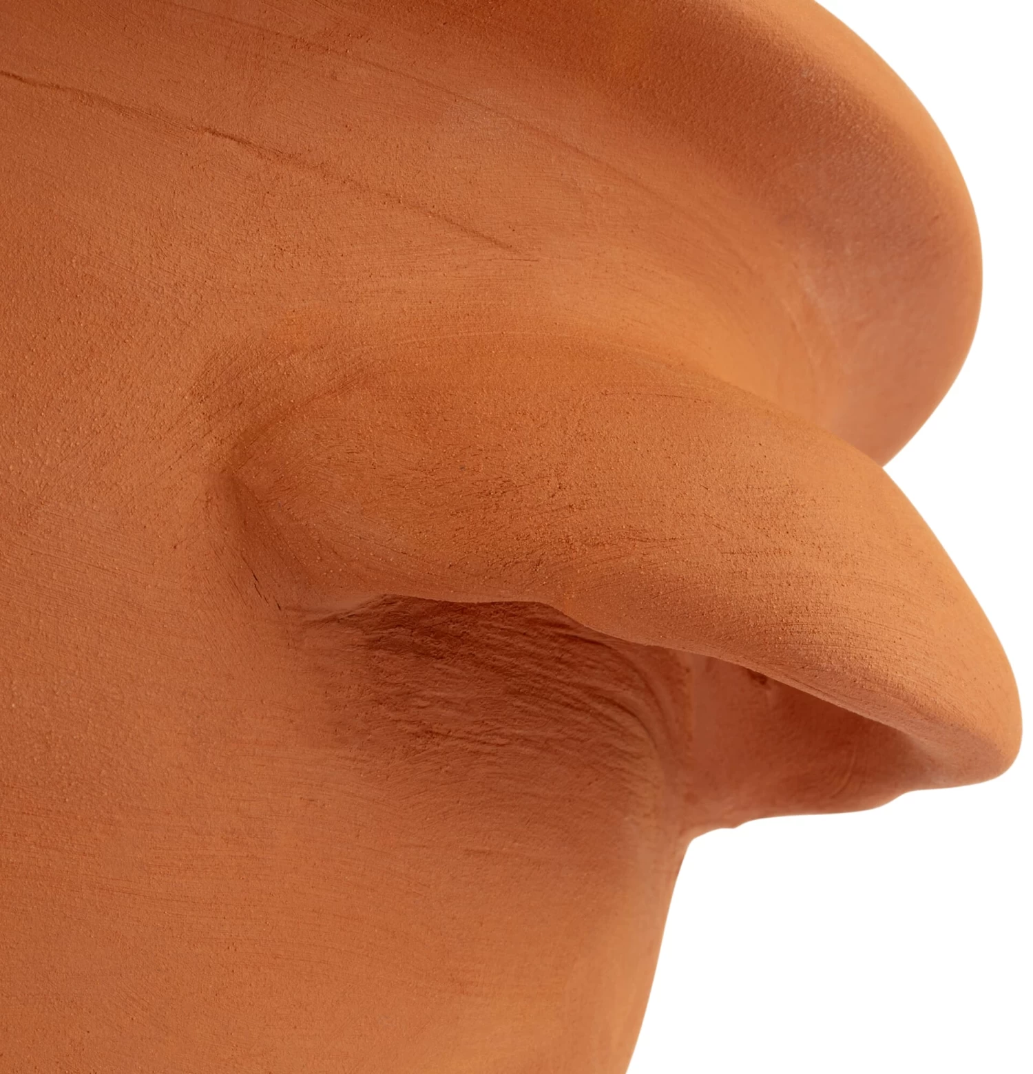 Tulpenpot Terracotta 2 Tulpenpot Terracotta - Afbeelding 2