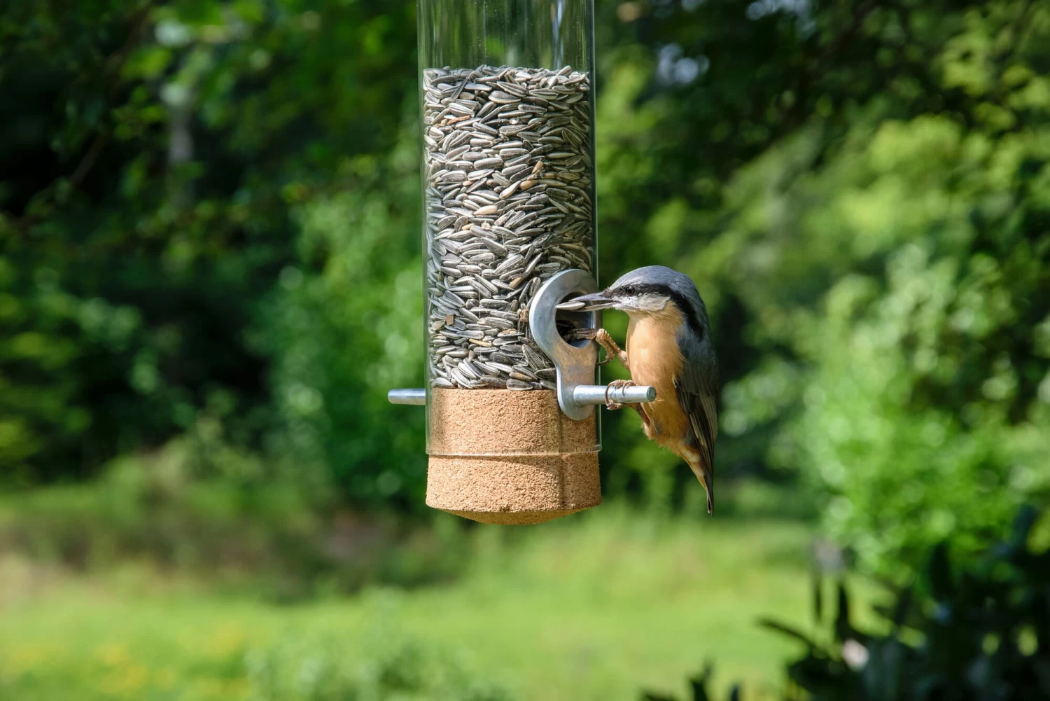 Vogelvoederhuisje Glas 3 Vogelvoederhuisje Glas - Afbeelding 3