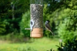 Vogelvoederhuisje Glas 7 Vogelvoederhuisje Glas -Bekend Tuinmeubel Winkel vogelvoederhuisje glas 3