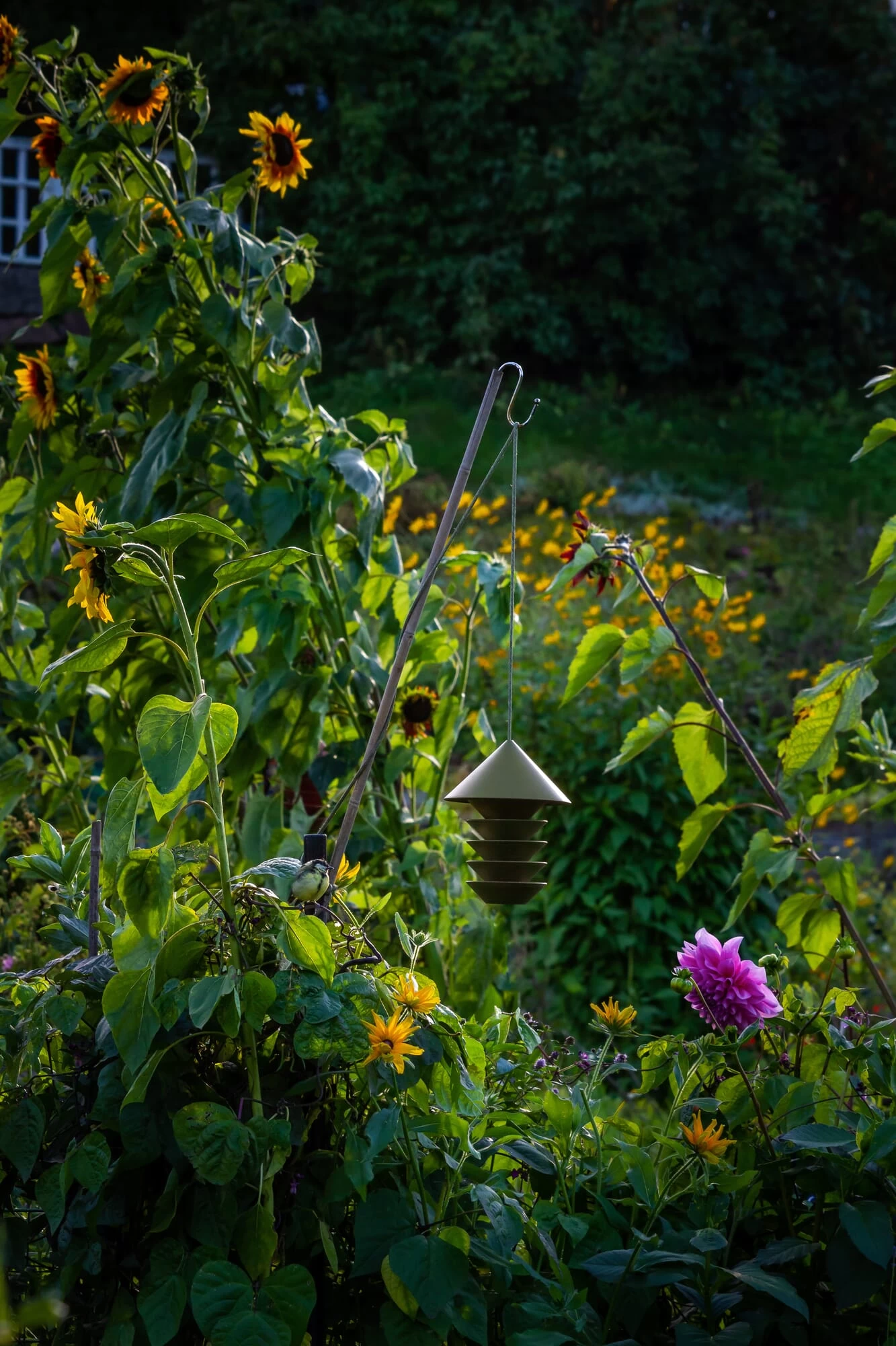 Vogelvoederhuisje Vogelsilo, Groen 6 Vogelvoederhuisje Vogelsilo, Groen - Afbeelding 6