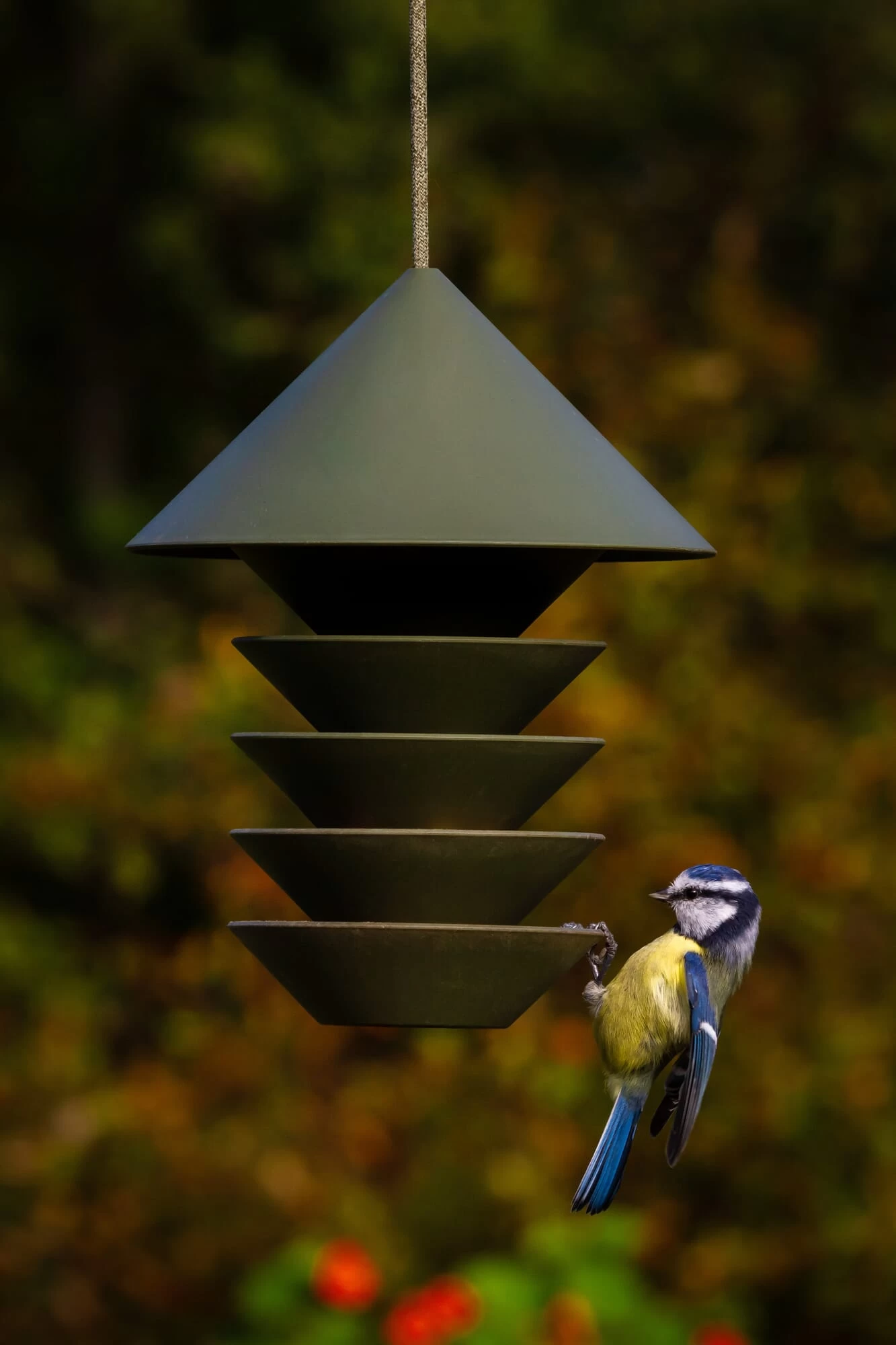 Vogelvoederhuisje Vogelsilo, Groen 7 Vogelvoederhuisje Vogelsilo, Groen - Afbeelding 7