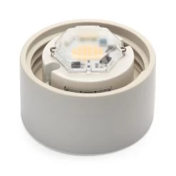 Wand- En Plafondlamp Cilinder LED, Een, Wit / Mat -Bekend Tuinmeubel Winkel wand plafondlamp cilinder led 2