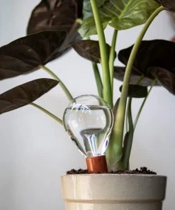 Watergeefbal Voor Potplanten -Bekend Tuinmeubel Winkel watergeefbal potplanten 3