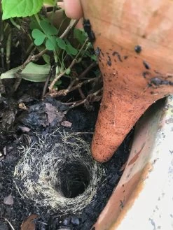 Waterpot Om Te Pluggen 5 Waterpot Om Te Pluggen -Bekend Tuinmeubel Winkel waterpot pluggen 2