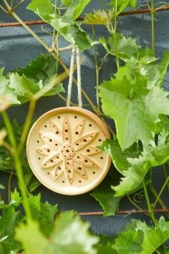 Wilde Bijenhuis Keramiek 11 Wilde Bijenhuis Keramiek -Bekend Tuinmeubel Winkel wilde bijenhuis keramiek 3