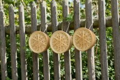 Wilde Bijenhuis Keramiek 13 Wilde Bijenhuis Keramiek -Bekend Tuinmeubel Winkel wilde bijenhuis keramiek 5