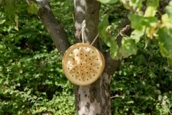 Wilde Bijenhuis Keramiek 14 Wilde Bijenhuis Keramiek -Bekend Tuinmeubel Winkel wilde bijenhuis keramiek 6