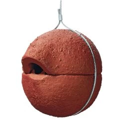 Winterkoninkje Nestbal