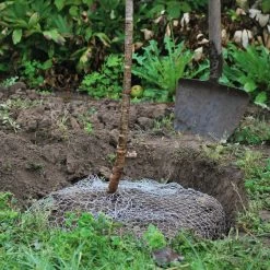 Woelrattenmand Gaas 7 Woelrattenmand Gaas -Bekend Tuinmeubel Winkel woelrattenmand gaas 3