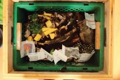 Wormendoos Larikshout Kit -Bekend Tuinmeubel Winkel wormendoos larikshout kit 3